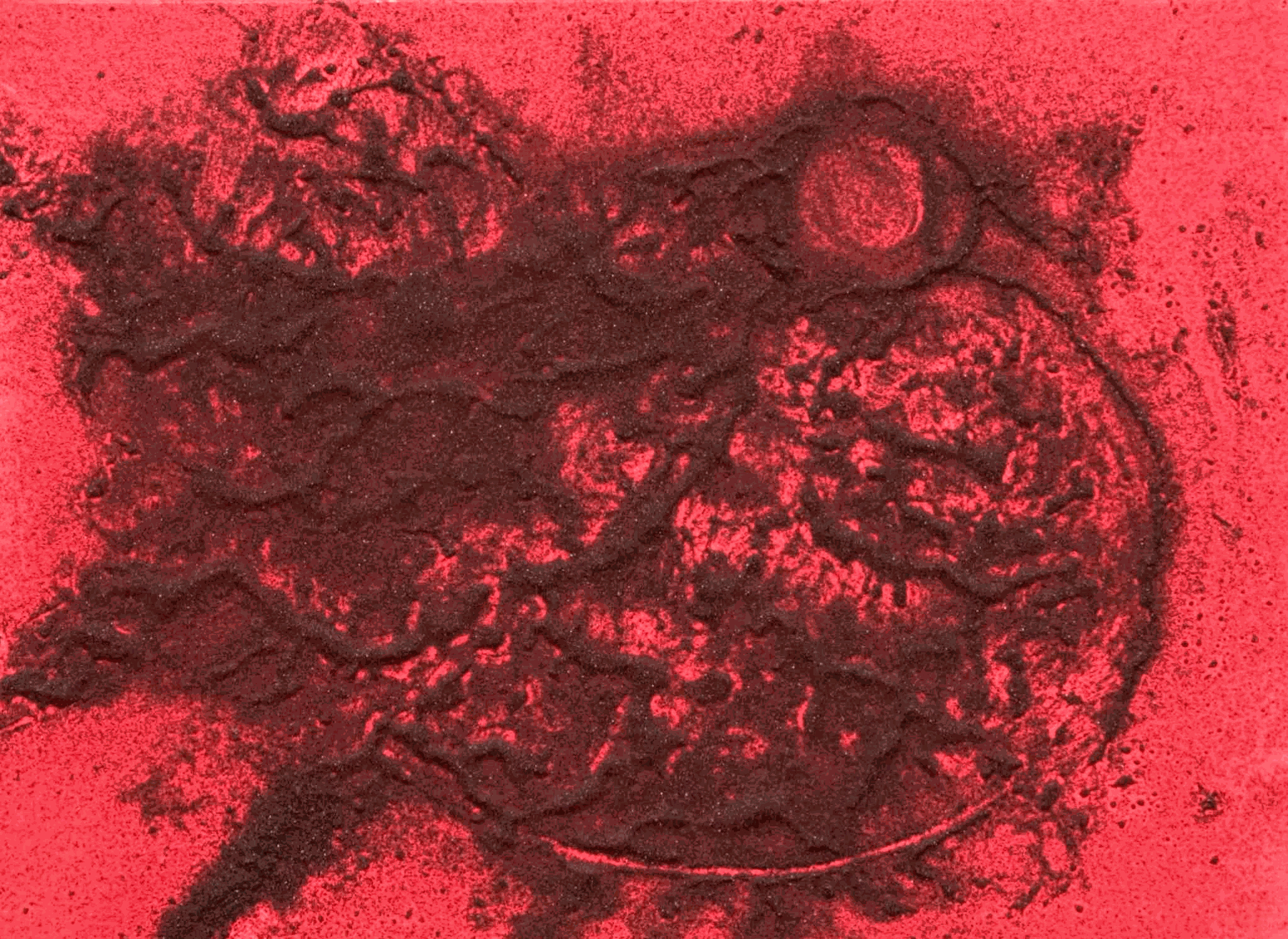 Archipiélago Chinijo Alejandro Tosco